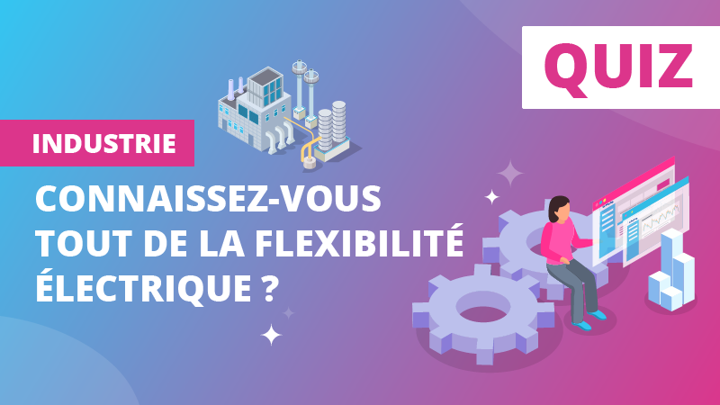 quiz flexibilité électrique dans l'industrie