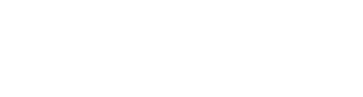 logo BPI