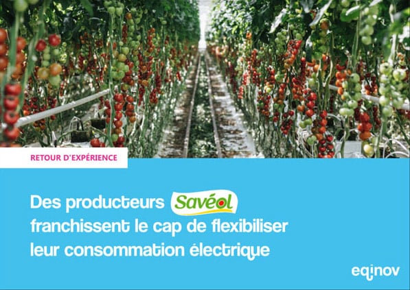 agroalimentaire flexibilité électrique