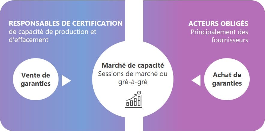 mécanisme de capacité et mécanisme de capacité électricité fonctionnement