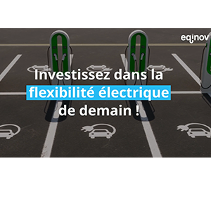 Investissez dans la flexibilité électrique de demain !