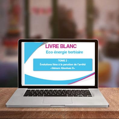 livre blanc decret tertiaire-visuel eqinov-page accueil