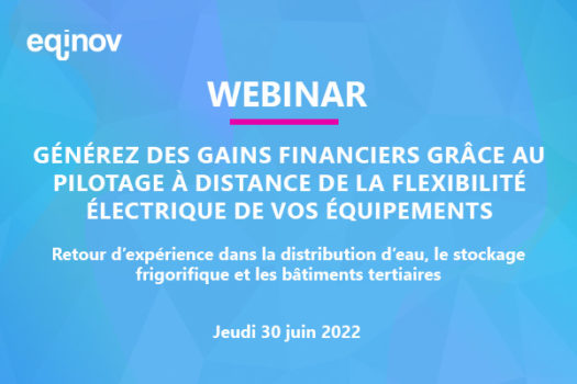 webinar flexibilité électrique