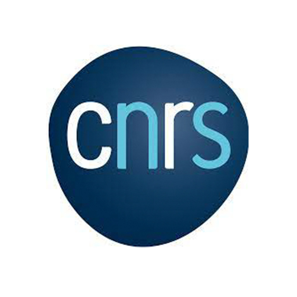 eqinov-logo-cnrs logo CNRS