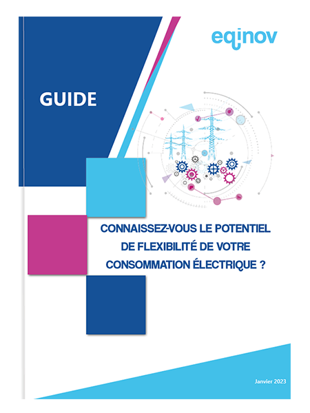 guide flexibilité de la consommation électrique