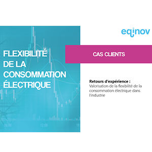 [Etude de cas] Flexibilité de la consommation électrique