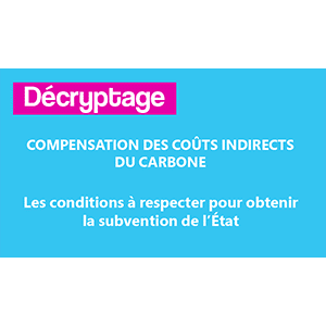 [Décryptage] Compensation carbone - Comment bénéficier de la subvention de l'État ?