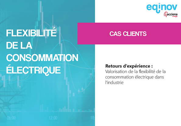 Cas clients-Flexibilité de la consommation électrique