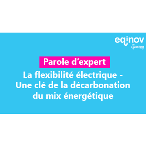 [Parole d'expert] La flexibilité électrique : une clé de la décarbonation du mix énergétique