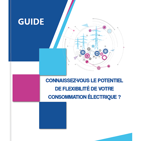 guide flexibilité de la consommation électrique